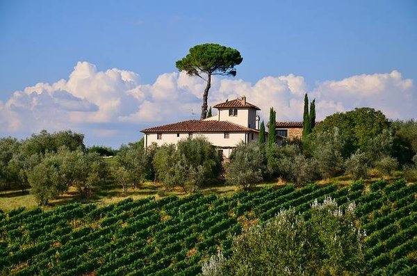 Découvrez le Charme du Camping 4 Étoiles en Gironde : Votre Escapade Idéale entre Mer et Vignobles